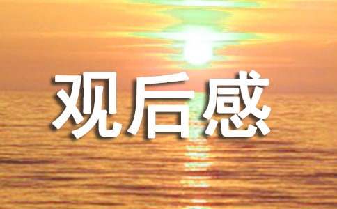 看完消失的她观后感优秀