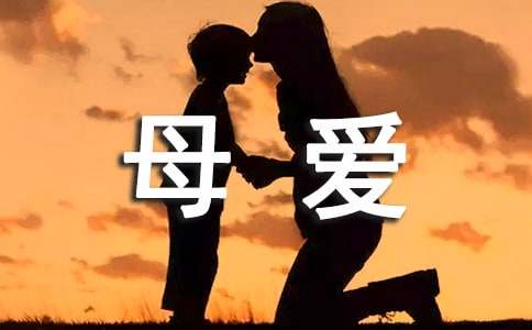 描写母爱的优美段落