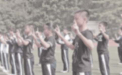 初中体育教学总结模板8篇