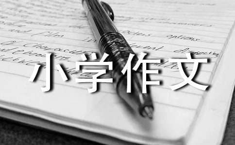 我的小猪存钱罐小学作文