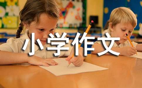 我的小学作文300字3篇
