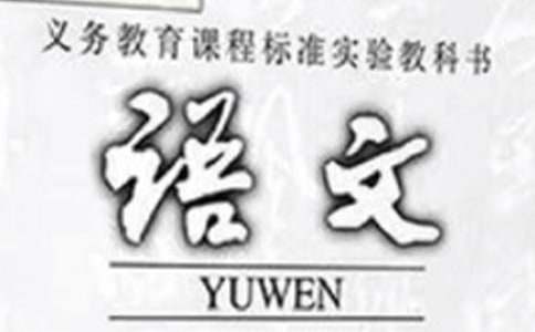 有关小学语文教学总结范文汇总9篇
