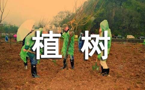 植树