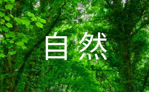 大自然的夜晚作文（精选29篇）