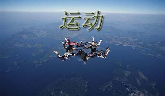 运动场上的作文